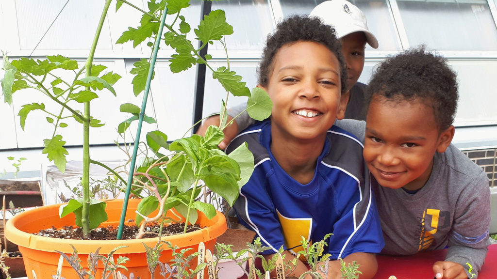 Youth Urban Agriculture